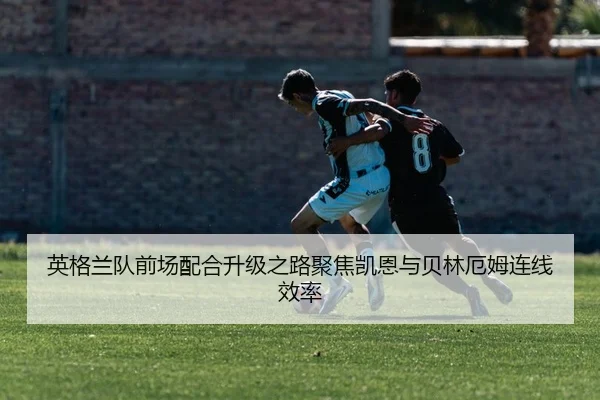 img_1783100609956_45_1_396.jpg